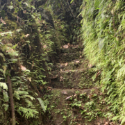 Jacko Steps, Jacko Flats Trail, Dominica. The stone steps were built by Chief Jacko, an 18th-century leader of escaped slaves, to access their Maroon settlement and protect it against colonial forces. Photo by Jonathan Rodriguez.